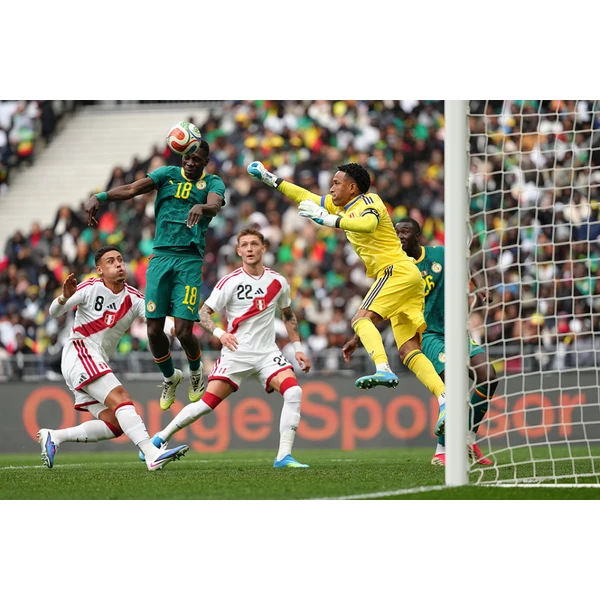 FIFA世界杯